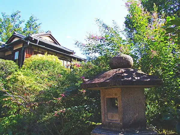 庭園の風景